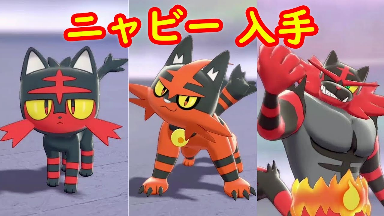 【ニャビー → ニャヒート → ガオガエン】入手 攻略 + キャンプで遊ぶ【ポケモン剣盾 ポケモンHOME ポケモン ソード シールド 】