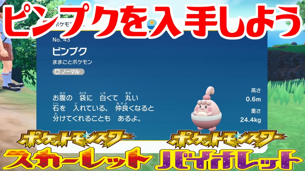 【ポケモンSV】ピンプクを入手しよう【ポケットモンスター スカーレット・バイオレット】Pocket Monsters