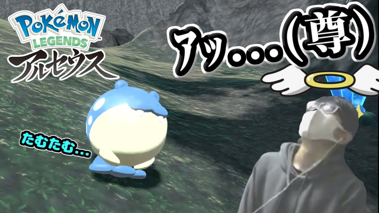 ころころタマザラシのサブクエでもやはり限界化してしまった男【ごまちゃん切り抜き】【ポケモンLEGENDSアルセウス】