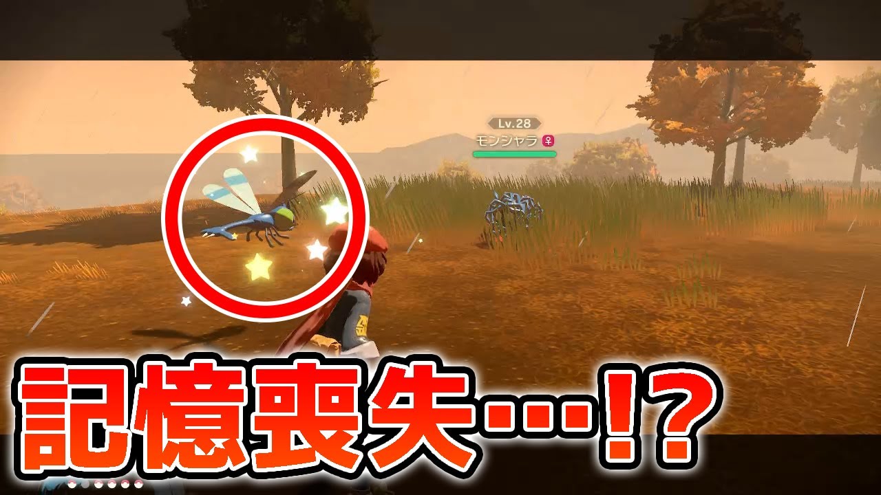 【ノーカット】完全に一瞬記憶を失った色違いヤンヤンマ【ポケモンレジェンズアルセウス】