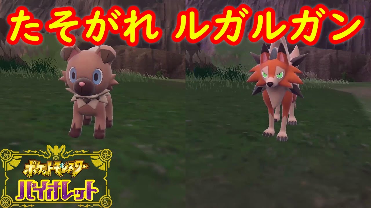 【イワンコ → たそがれ ルガルガン】特殊進化方法 攻略【ポケモン スカーレット・バイオレット】