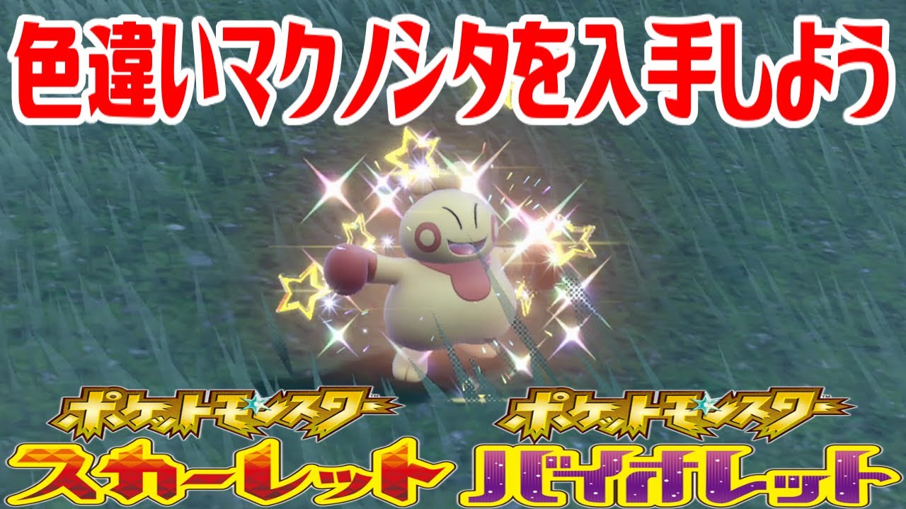 【ポケモンSV】色違いマクノシタを入手しよう【ポケットモンスター スカーレット・バイオレット】Pocket Monsters