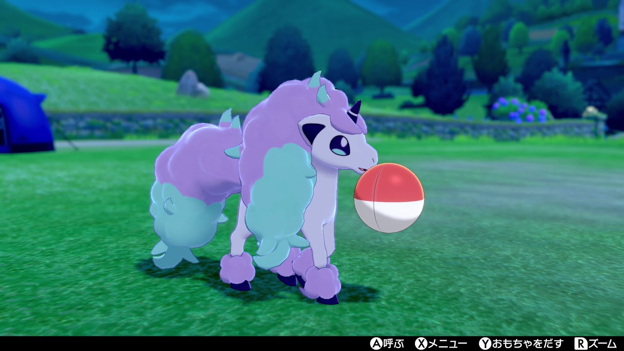 【ポケモンキャンプ】ガラルポニータがかわいいだけの動画（図鑑説明有り）【ポケモン剣盾/ポケモンソードシールド】