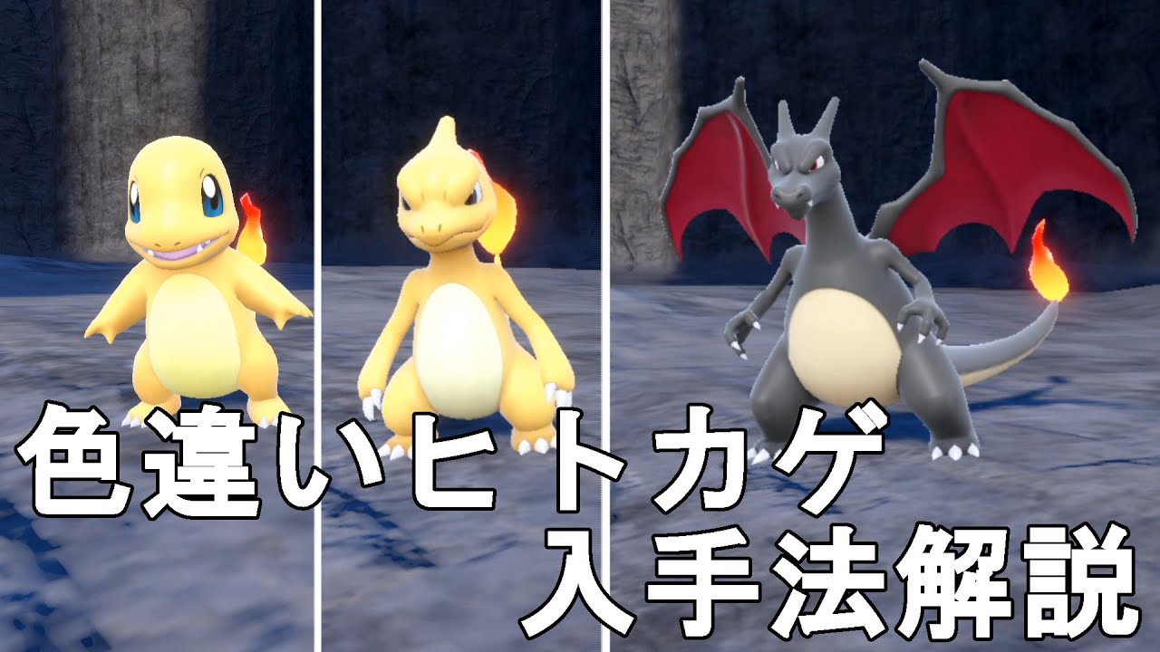 【ポケモンSV】色違いヒトカゲ（リザードン）入手法解説！Pocket Monster Skarlet Violet Shiny Charmander【スカーレットバイオレット】