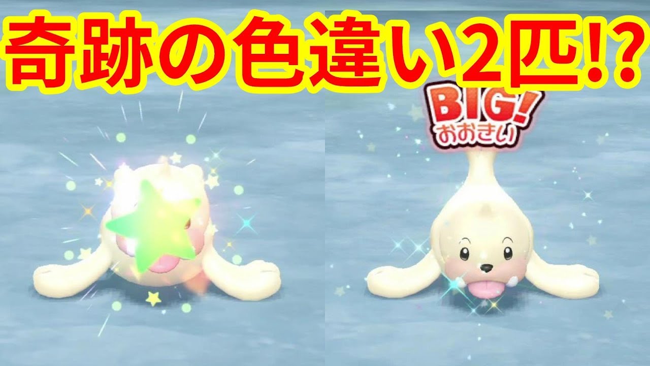 短時間で色違い2体！？パウワウが奇跡を運んできた！【ポケモンLet'sGO！イーブイ】