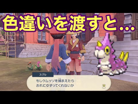 【検証】村人に色違いのケムッソをプレゼントしてみた結果【ポケモンLEGENDSアルセウス】