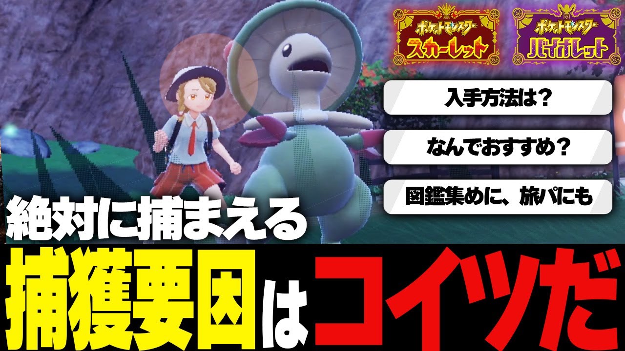 【効率UP】捕獲で全く困らない「キノガッサ」のすすめ！（ゆっくり解説）【ポケモンsv/ポケモンスカーレット・バイオレット】
