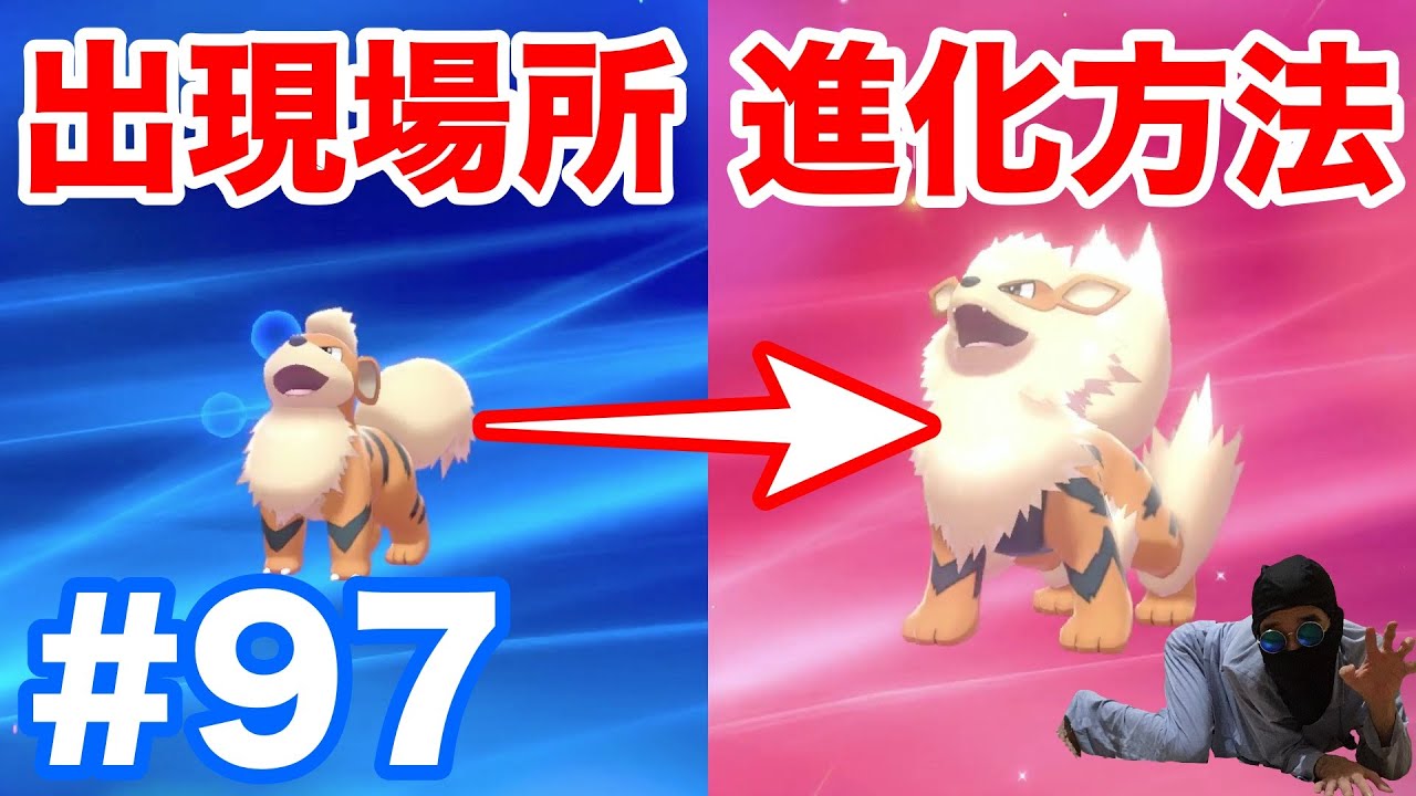 #97【ポケモンソード】"ガーディ"の出現場所・条件！"ウインディ"への進化方法・種族値！【最新作の攻略実況プレイ】