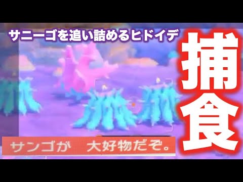 【リアルすぎる衝撃映像】ヒドイデがサニーゴを捕食しようとしている。岩陰に隠れて捕食しているだろこれ。Newポケモンスナップ！