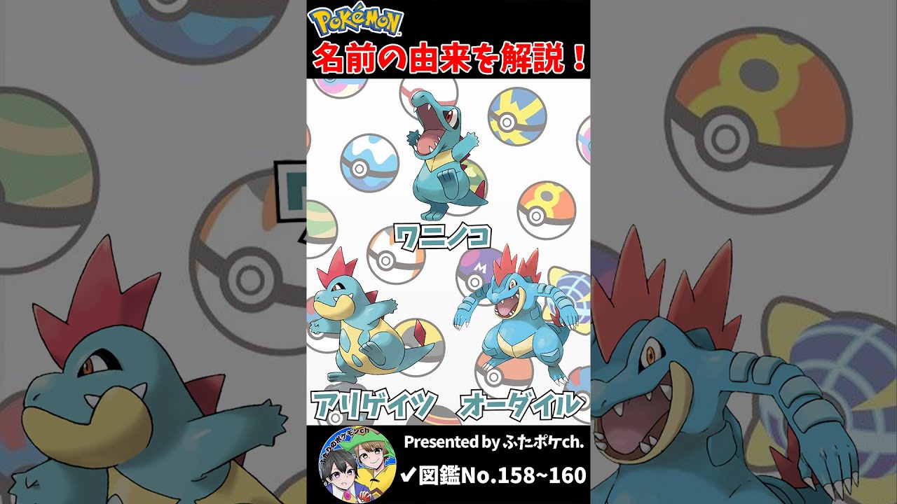 ポケモン名の由来『ワニノコ・アリゲイツ・オーダイル』 #Shorts