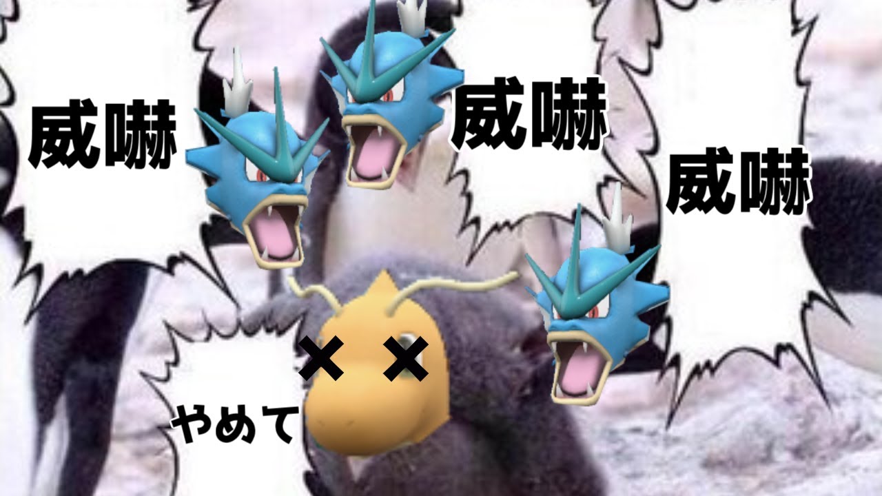 【ポケモンSV】ギャラドスの威嚇はまだまだ健在です