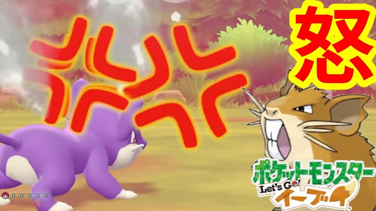 いかりの前歯恐るべし！コラッタ・ラッタでマスタートレーナー戦！【ポケモンLet'sGO！イーブイ】