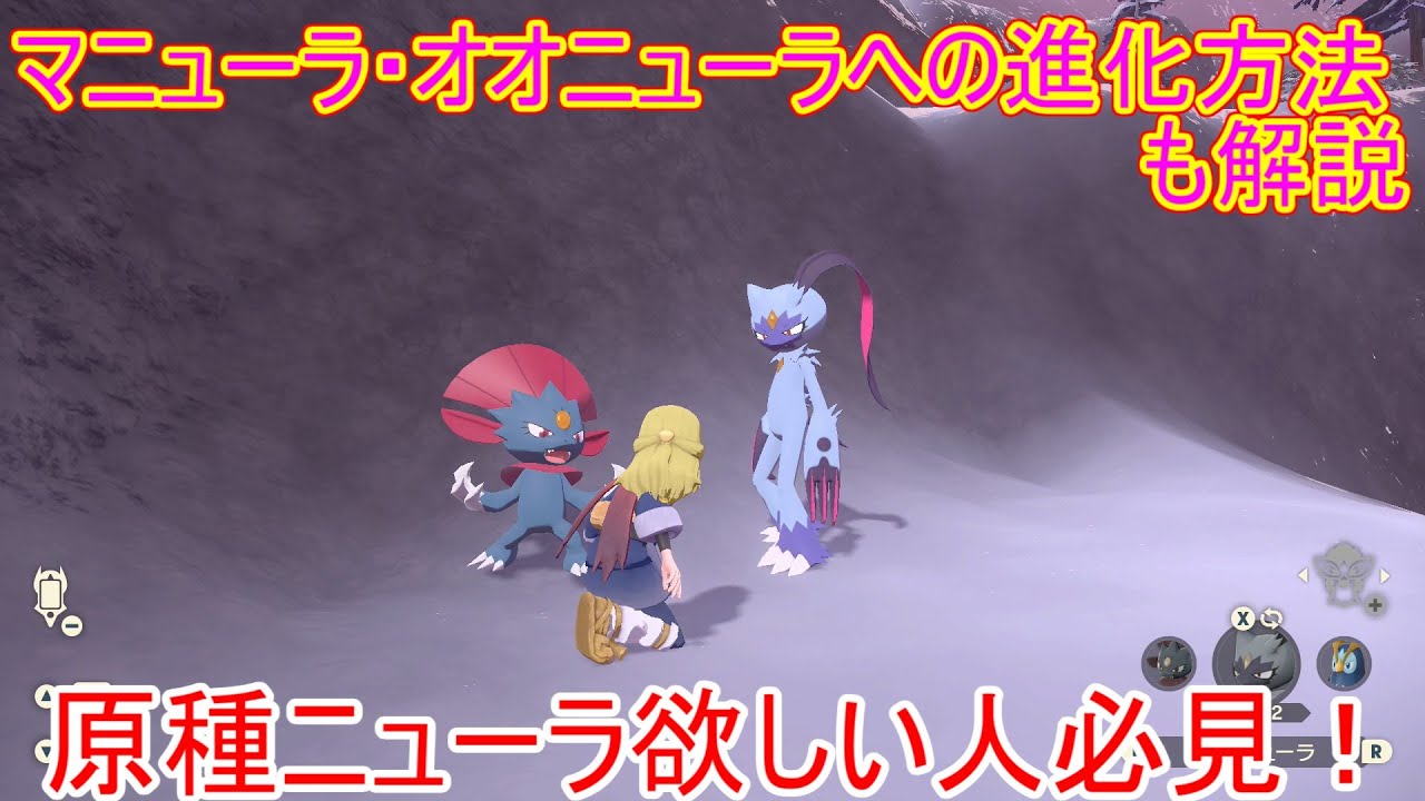 【レジェンズアルセウス】ニューラ出現場所・マニューラ・オオニューラへの進化方法解説！するどいツメの簡単な入手方法も解説【捕獲方法/ゲット方法/捕まえ方】【ポケモンレジェンズアルセウス】【攻略/実況】