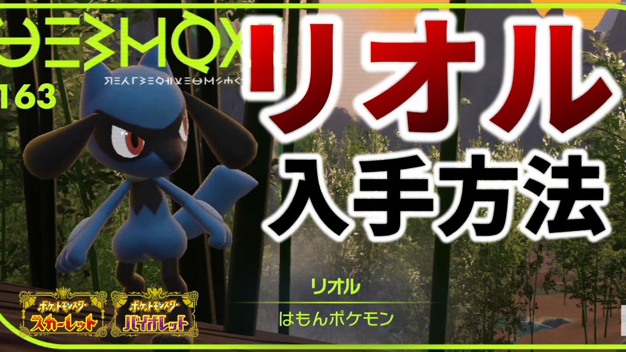 【ポケモンSV】リオルの入手方法解説【ポケットモンスター スカーレット/バイオレット,ルカリオ】