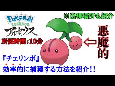 【レジェンズアルセウス】チェリンボの効率的（簡単）な捕獲方法解説（出現場所、木の揺らし方）
