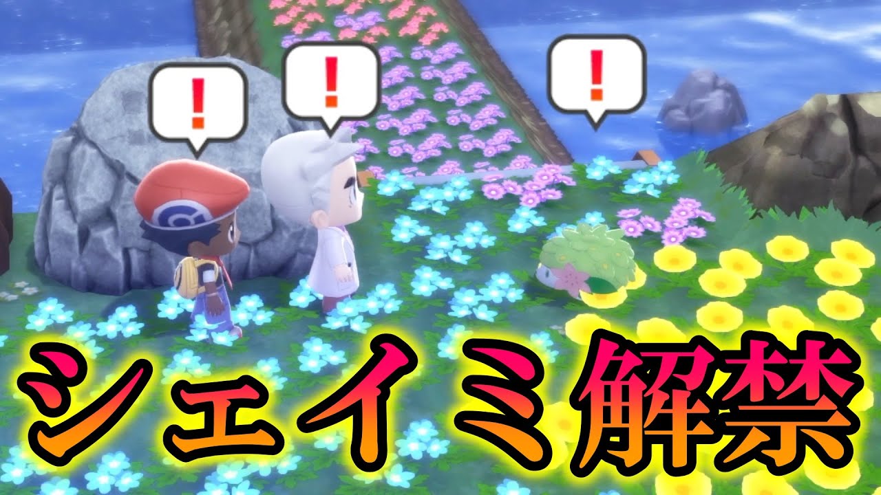 【最高】オーキドの手紙の「シェイミ」イベントが解禁！グラシデアの花でスカイフォルムにしたら最高すぎたww【BDSP/ダイパリメイク】