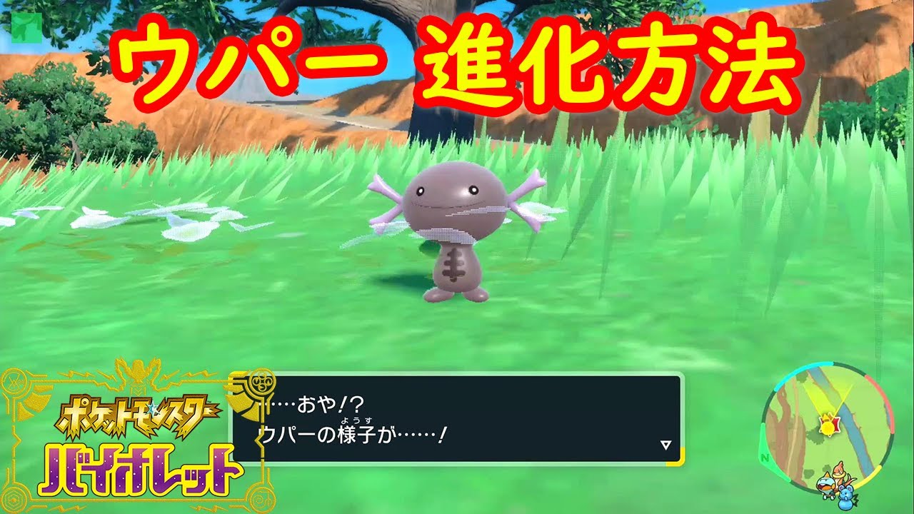 【ウパー（パルデアのすがた）】進化方法 レベル 攻略【ポケモン スカーレット・バイオレット】