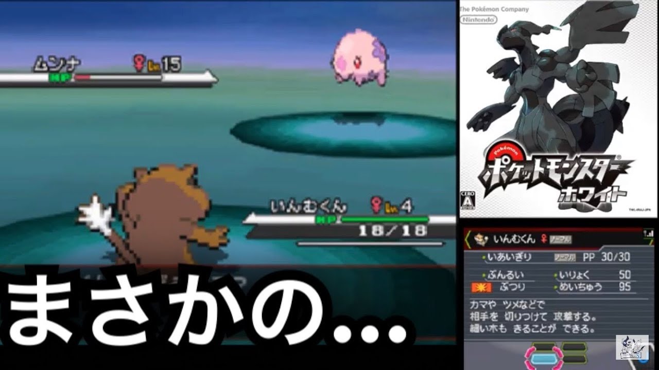 ムンナ1匹にボコボコにされるあゆみんだったが…… 【2020/03/28】