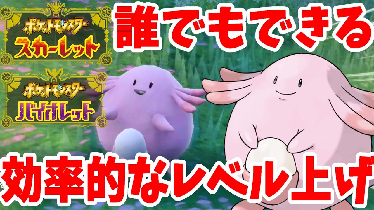 【ポケモンSV】誰でも簡単！ラッキーの効率的なレベル上げ【ポケモンスカーレットバイオレット】