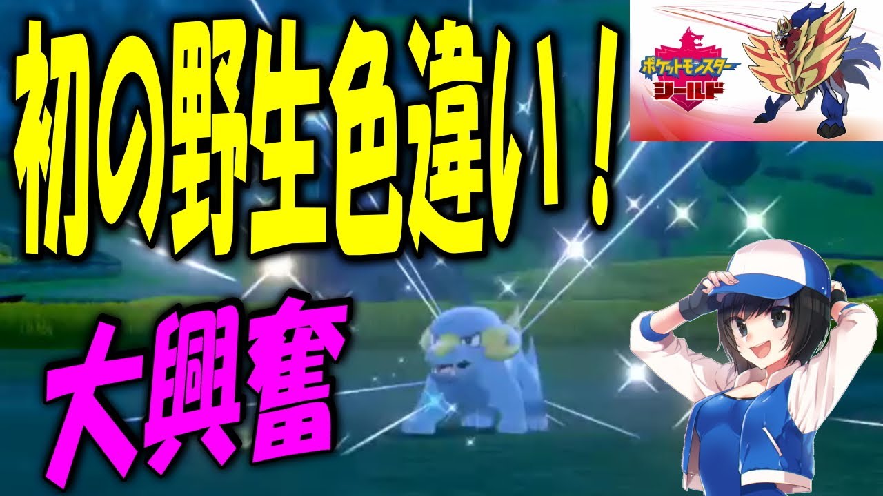 剣盾初の野生色違いはラクライ！運命的な出会い！【ポケモン剣盾】