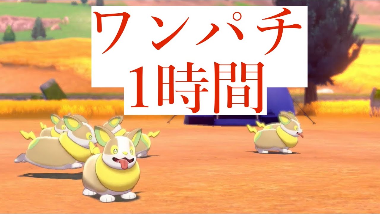 【1時間耐久】老波のかわいいワンパチたちとターフタウンで1時間キャンプするだけの動画。/Camping with Yamper for an hour.【ポケモン剣盾】