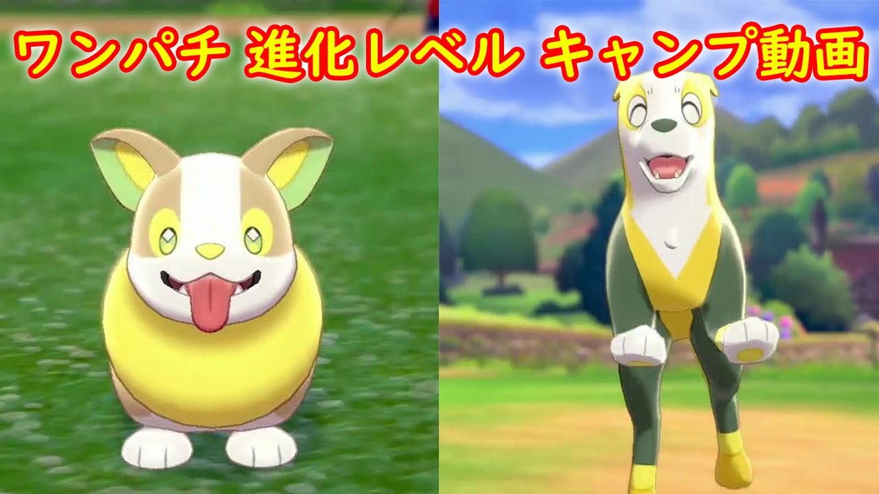 【ワンパチ → パルスワン】進化レベル 攻略 + キャンプで遊ぶ【ポケモン ソード シールド ポケモン剣盾】