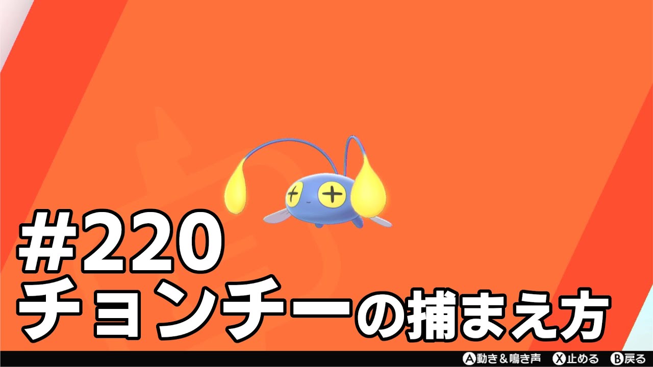 チョンチーを探している方に見てほしい動画