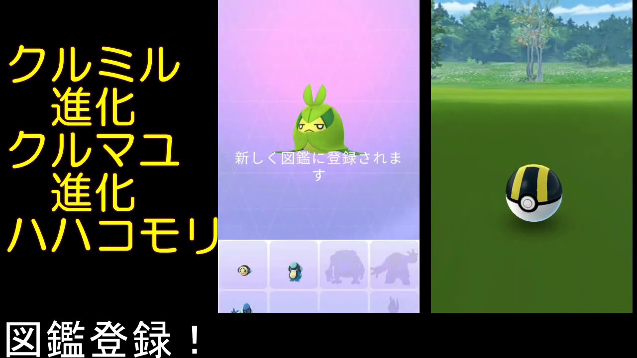 クルミル進化クルマユ進化ハハコモリ【ポケモンGO】