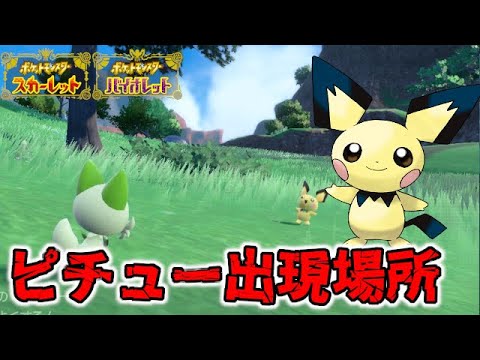 【出現場所】 ピチュー入手方法！ピンプクやププリンも！【ポケモンSV/スカーレット バイオレット】