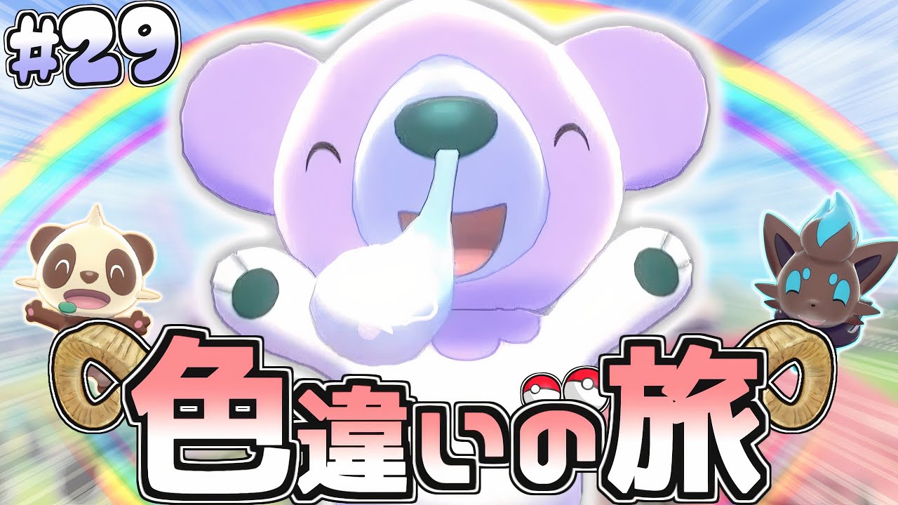 【色旅#29】色違いクマシュンを野生厳選♡魔の4期生なるか…？【ポケモン剣盾】【ゆっくり実況】