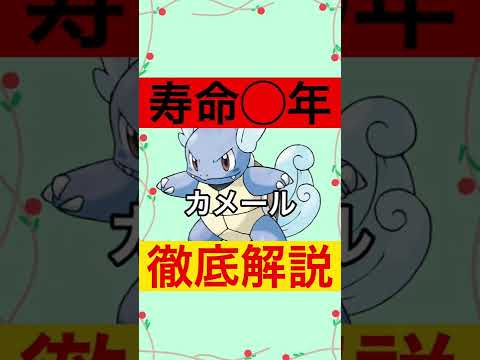 実は寿命◯年のカメールを徹底解説#shorts #ポケモン #雑学
