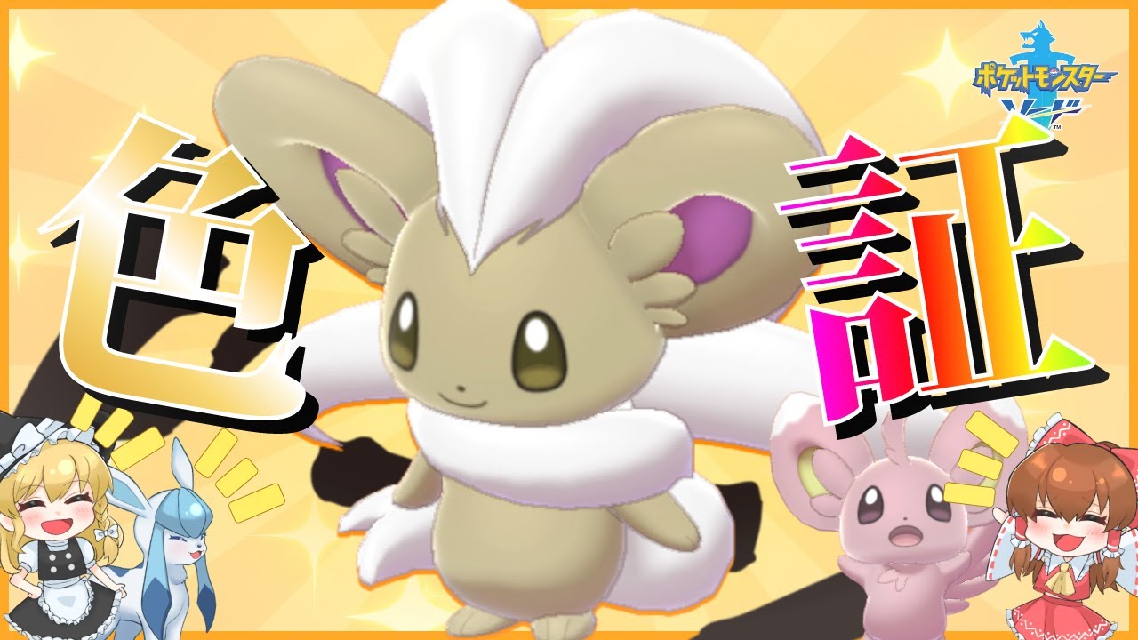 【ゆっくり実況】色証チラチーノが欲しい！チラーミィの出現率低くない？【剣盾】