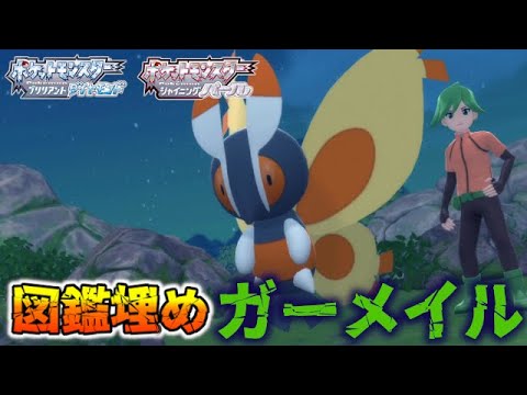【図鑑埋め】ガーメイル持ちトレーナーの紹介【ポケモンBDSP/ダイパリメイク】