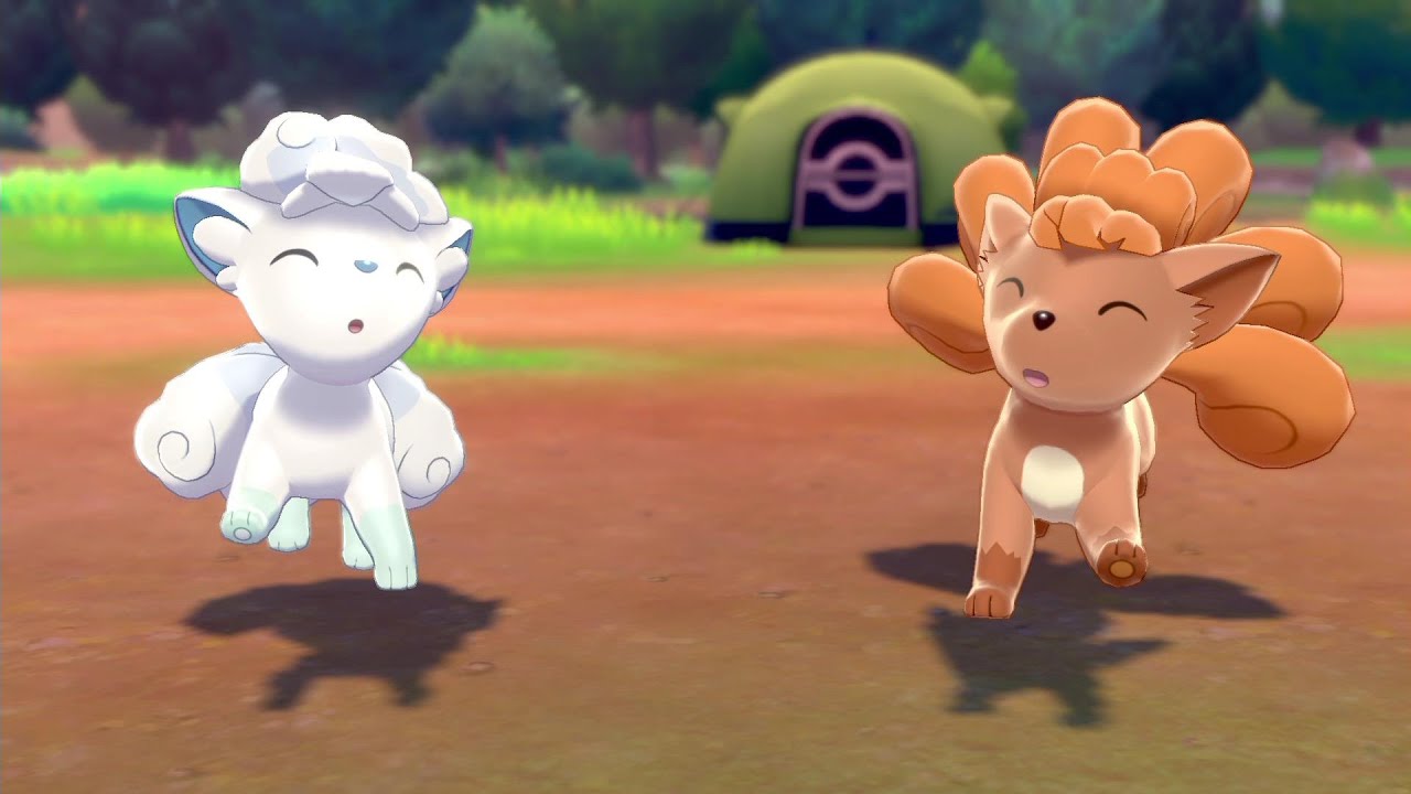 鎧の孤島解禁！ロコン・アローラロコンとポケモンキャンプで戯れます【ポケモン剣盾/ソードシールド/鎧の孤島】