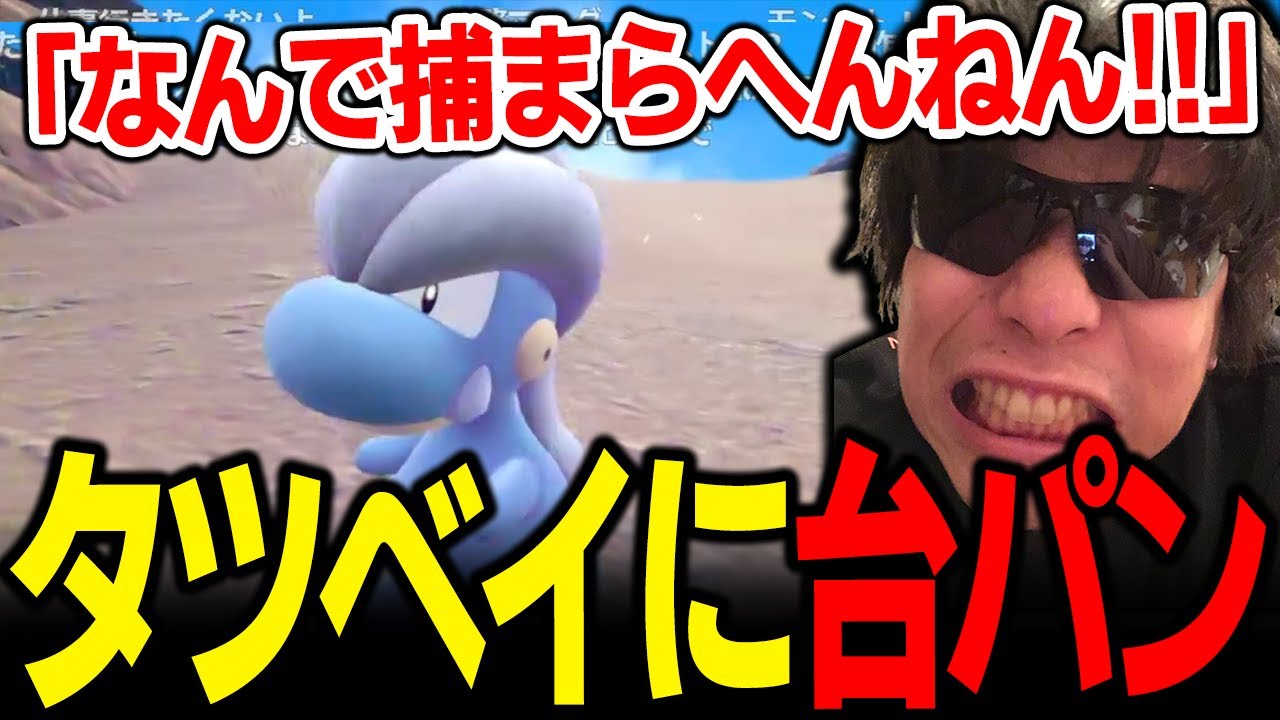 【もこう切り抜き】待望の「タツベイ」を発見するも...台パンガチギレｗｗｗ【ポケモンSV】