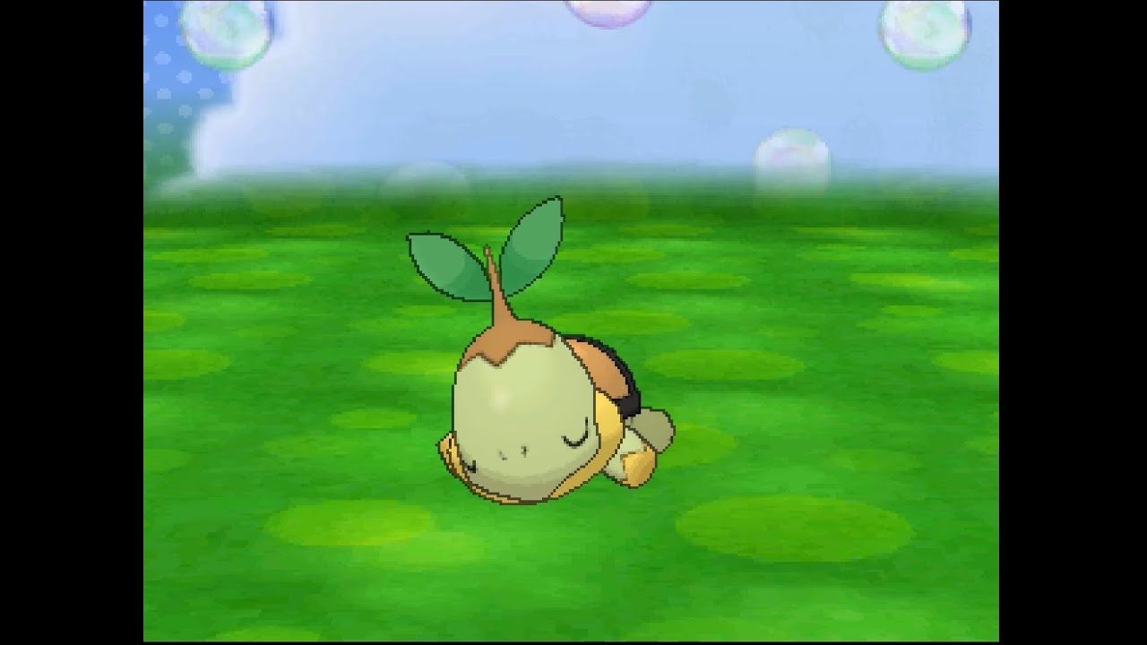 ポケパルレ　ナエトルと戯れるだけの動画