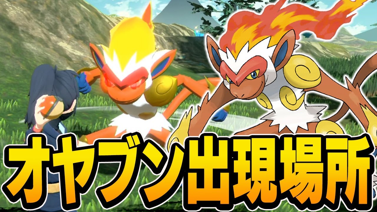 オヤブンゴウカザルの出現場所・入手方法について【ポケモンレジェンズアルセウス】