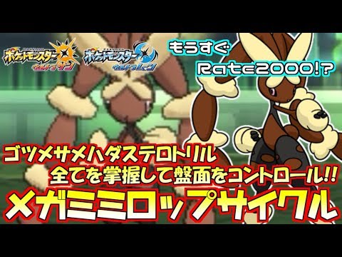 【ポケモン】Mission:メガミミロップを一貫させよ!!ターン管理と定数ダメージの“戦術(タクティクス)”【ウルトラサン/ウルトラムーン】