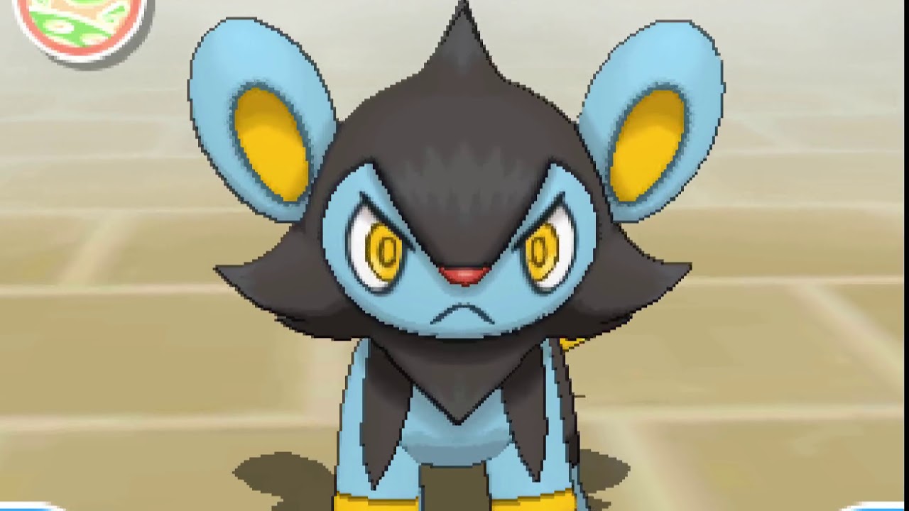 ポケリフレ　ルクシオと戯れるだけの動画