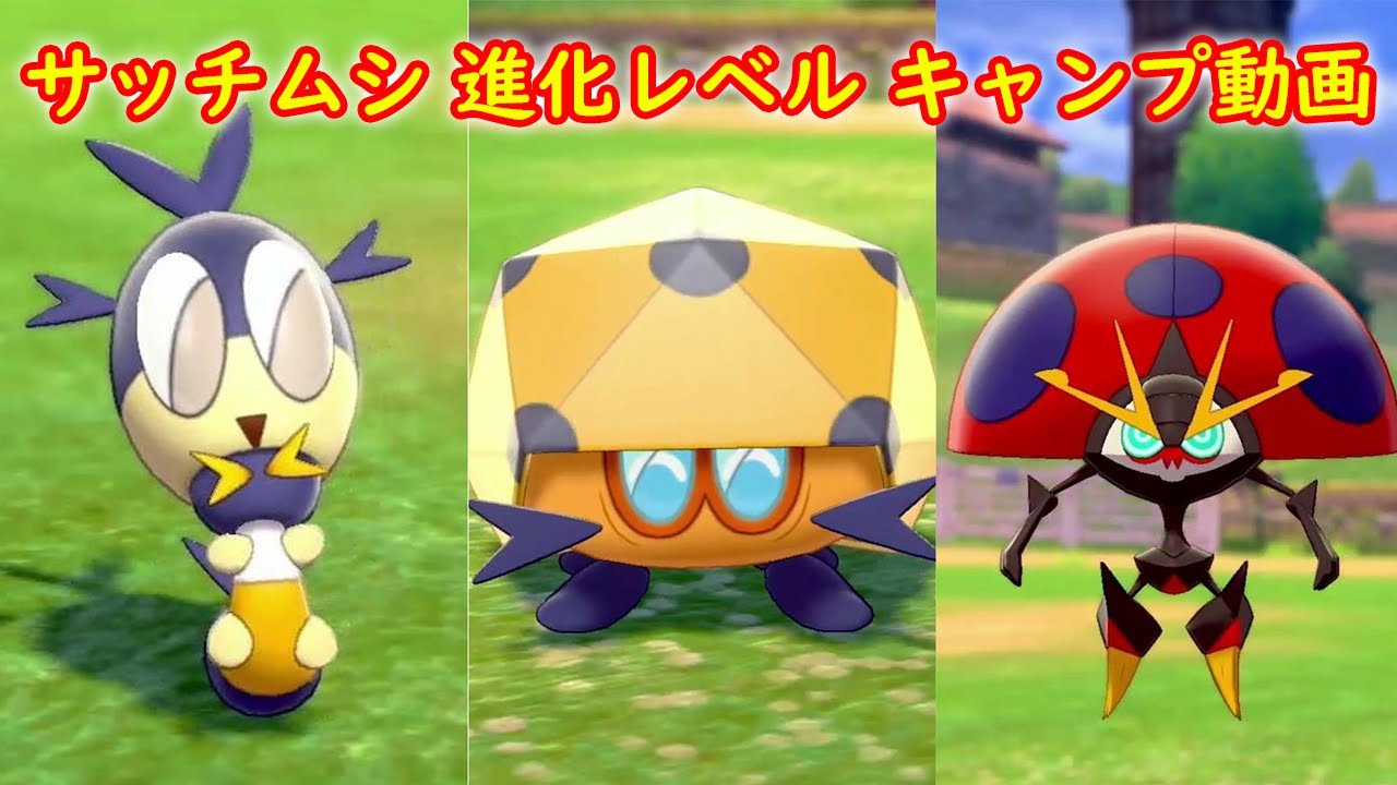 【サッチムシ → レドームシ → イオルブ】進化レベル 攻略 + キャンプで遊ぶ【ポケモン ソード シールド ポケモン剣盾】