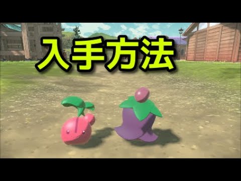【ポケモン アルセウス】チェリンボ チェリム 入手方法 出現場所 捕まえ方【Pokémon LEGENDS アルセウス】