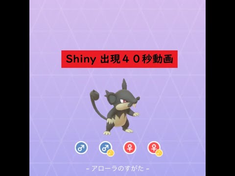 【Pokémon GO】Rarity ”C”＃019 コラッタ(アローラ) ☆shiny☆ #Shorts