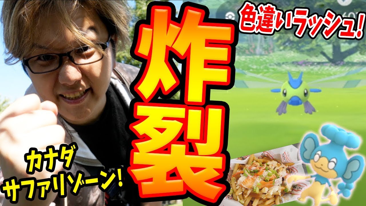 色違いヤンヤンマ出現!ヒヤップの影に爆走!?カナダサファリをハイパーエンジョイするんじゃい!【ポケモンGO】