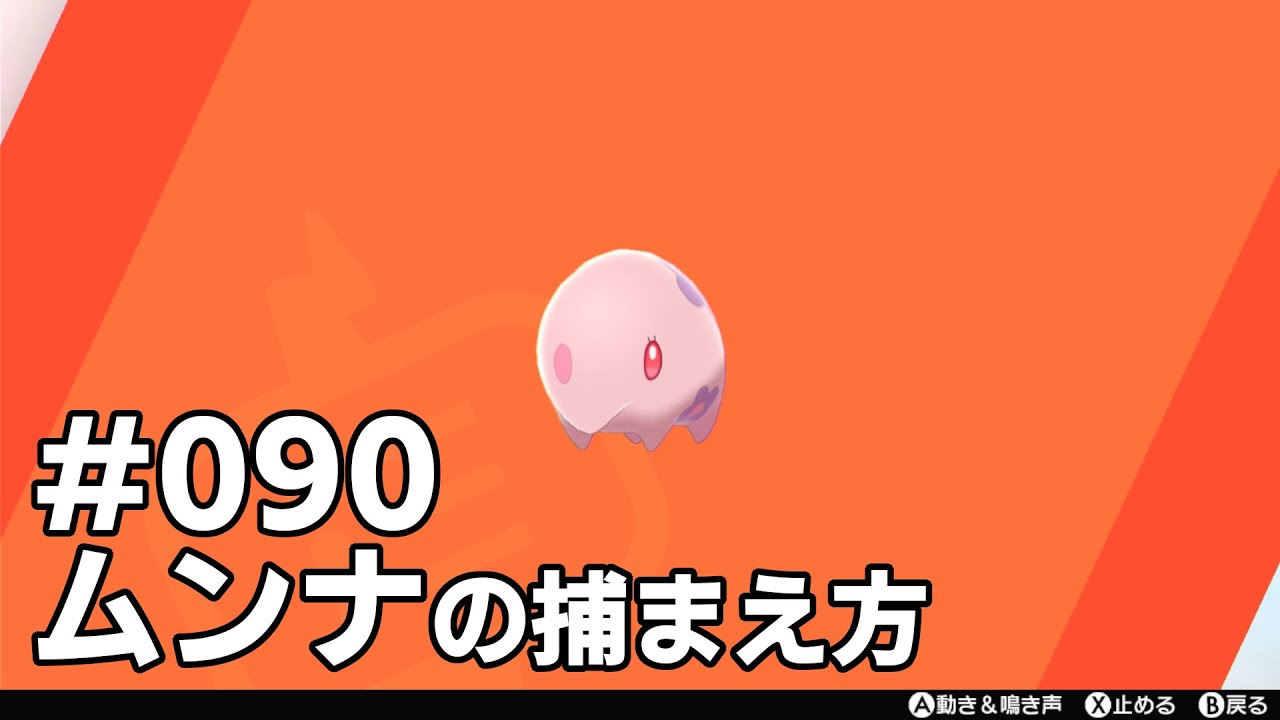 ムンナを探している方に見てほしい動画