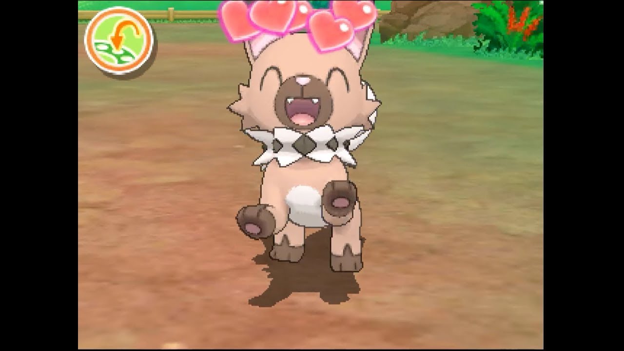 ポケリフレ　イワンコと戯れるだけの動画