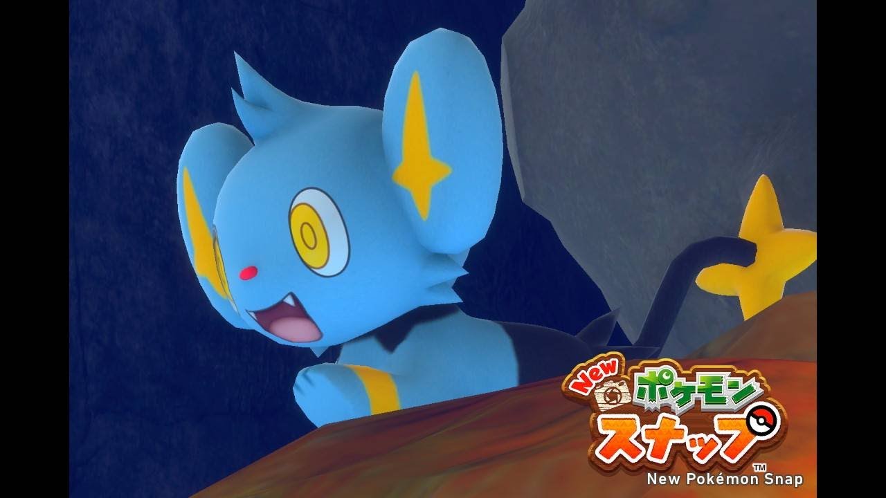 コリンクが好きすぎる男のNewポケモンスナップ