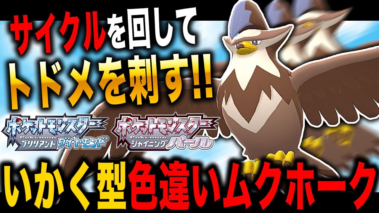 【ポケモンBDSP】サイクルを回して勝利を掴む色違い『ムクホーク』が最強すぎるｗｗ『いかく』で相手を発狂させるの気持ち良すぎだろｗｗ【ダイパリメイク】
