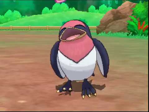 ポケリフレ　スバメと戯れるだけの動画