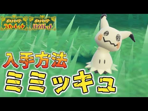 【簡単】分かりやすいミミッキュ入手方法【ポケモンSV/スカーレット バイオレット】