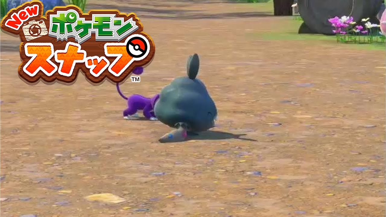 【ヤブクロン】広場の真ん中で リクエスト 攻略 【New ポケモンスナップ ニンテンドースイッチ】